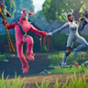 Meet your Posher, Hoatzin